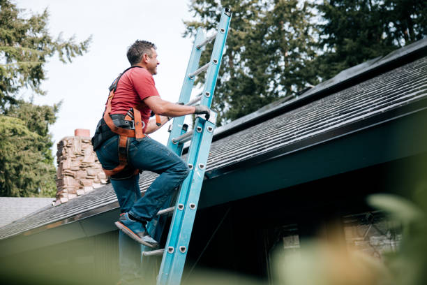 Best Solar Panel Roofing Installation  in Salix, PA
