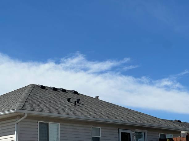Best Steel Roofing  in Salix, PA